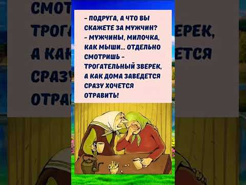 Видео: Мужчины как мыши 😂🐭#втоп #смешновидео