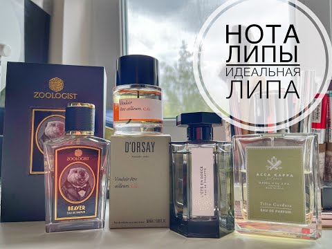 Видео: НОТА ЛИПЫ | АРОМАТЫ с идеальным звучанием липы