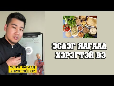 Видео: ЭСЛЭГ ЯАГААД ХЭРЭГТЭЙ ВЭ?