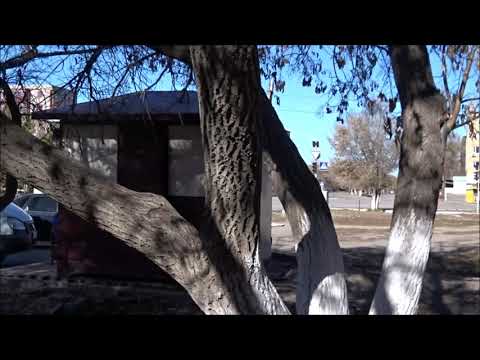 Видео: Прогулки по тёплому осеннему городку Абаю