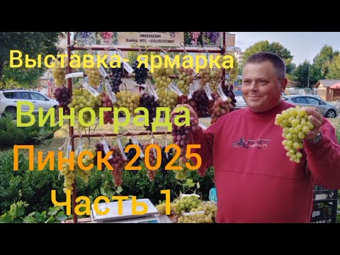 Видео: Выставка - ярмарка винограда в г. Пинск  1часть 14 сентября 2025 г.