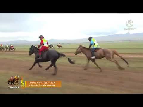 Видео: Сэлэнгэ бага хурд   2018 Аймгийн бүсийн наадам