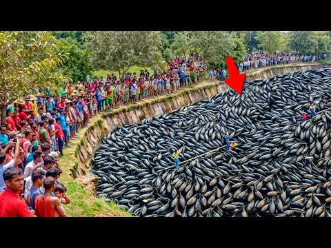 Видео: Случаи в Природе Один на Миллион