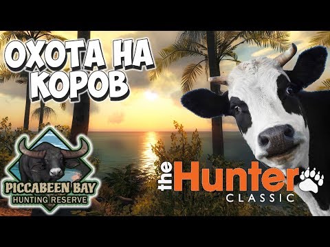 Видео: Иду в джунгли! theHunter Classic #10