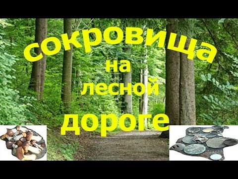 Видео: сокровища на лесной дороге.поиск с металлоискателем