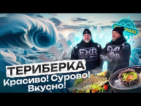 Видео: Териберка. Красиво! Сурово! Вкусно!
