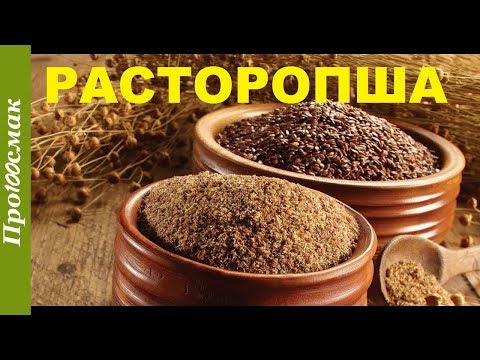 Видео: Польза и вред расторопши. Как употреблять расторопшу
