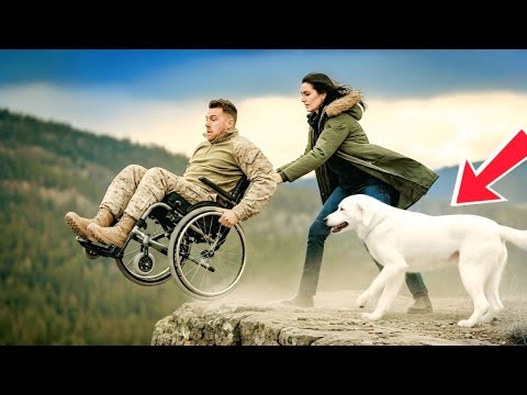 Видео: Жена столкнула прикованного к инвалидной коляске морпеха со скалы, но его пёс шокировал всех!