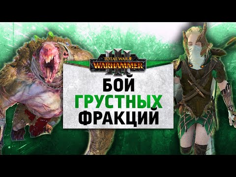 Видео: Бой грустных фракций | Скавены vs Лесные Эльфы | Ленды | Total War: WARHAMMER 3