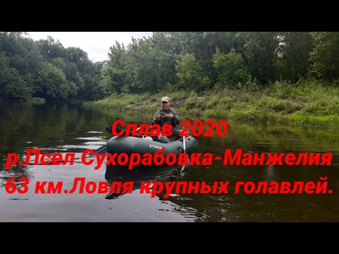 Видео: Сплав 2020.р.Псел.Сухорабовка-Манжелия.Часть 1.Ловля голавля