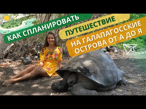Видео: Путешествие на Галапагосские острова. Как спланировать? Волонтерство, работа, путешествие.
