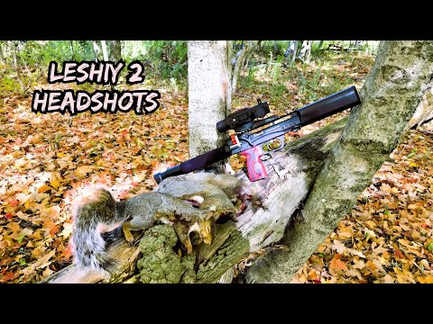 Видео: Охота на белок: выстрелы в голову с Лешим 2