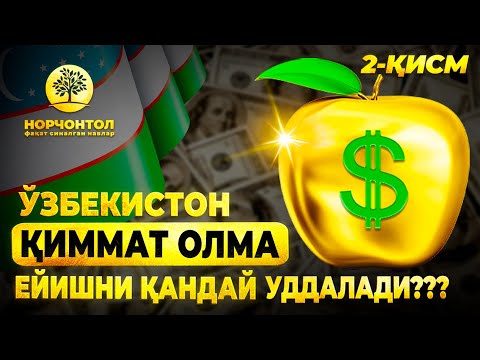 Видео: 2-ҚИСМ | ЎЗБЕКИСТОН ҚИММАТ ОЛМА ЕЙИШНИ ҚАНДАЙ "УДДАЛАДИ" ???  #шуҳратаброрв #uzbekistan