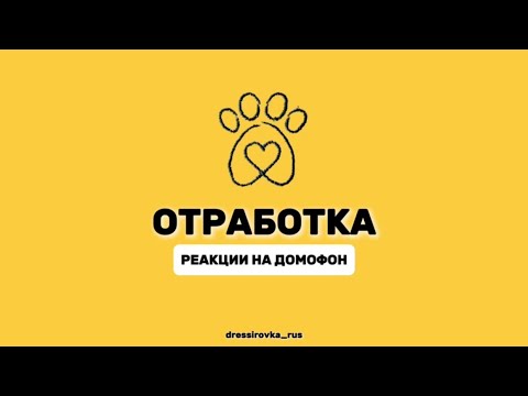 Видео: КАК ОТУЧИТЬ СОБАКУ ЛАЯТЬ НА ДОМОФОН?