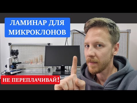 Видео: Ламинарный бокс для микроклонирования растений | Ламинар для микологии | Ламинарный шкаф для лазеров