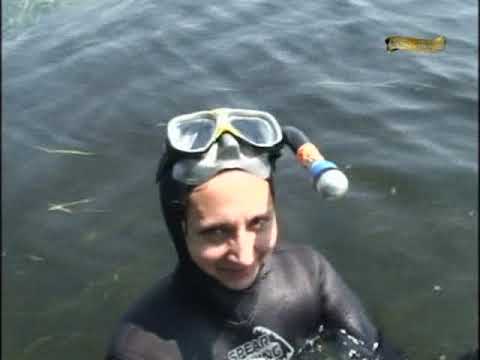 Видео: Подводная охота (А.Кочубей): Сазанья тропа