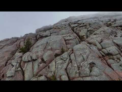 Видео: Аксоран