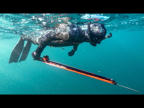 Видео: Почему нельзя задерживать дыхание дольше во время подводной охоты...