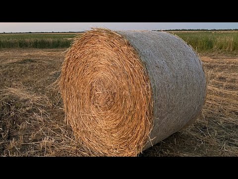 Видео: Не мелочимся!!! Шёл …день прессования. Vicon 1901!!!