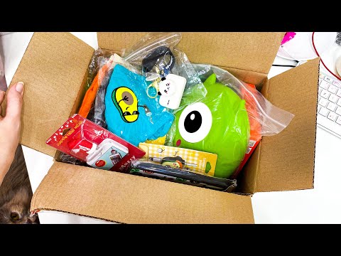 Видео: САМАЯ ВИРУСНАЯ ПОСЫЛКА: Рюкзак Скрепыш, Светящийся Провод и другие классные штучки