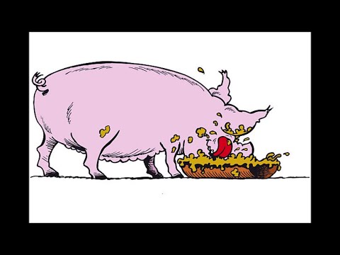 Видео: Мошенники всех мастей (сборник 68)