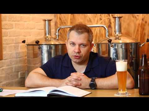 Видео: Стиль пива Светлый лагер (Pale Lager, Light Lager). Часть 1.