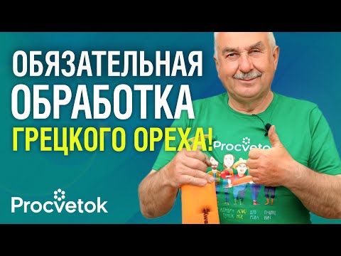 Видео: САМАЯ ВАЖНАЯ ОБРАБОТКА ГРЕЦКОГО ОРЕХА ОСЕНЬЮ! А также особенности обрезки и подкормки