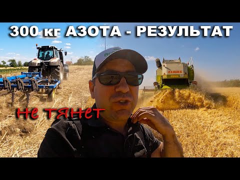 Видео: Результаты эксперимента. Сколько давать азота под зерновые и чем обработать почву вместо плуга