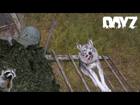 Видео: И снова хомячим лут , а также фиксируем шорты | Dayz 1.25