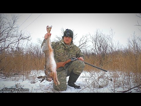 Видео: Охота на зайца. Закрыл сезон одним выстрелом. Тропление зайца. Иж-43