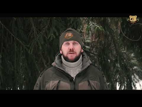 Видео: Испытания по подсадному кабану февраль 2024