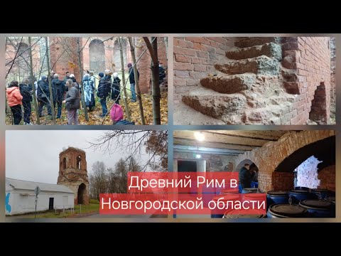 Видео: Эскадрон гусар летучих и подземелья. Медведь.