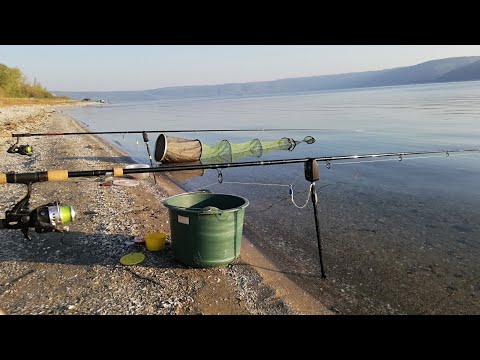 Видео: рыбалка на Днестре 21.09.24