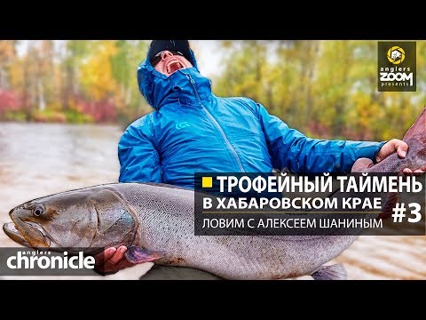 Видео: Трофейный таймень в Хабаровском крае. Ловим с Алексеем Шаниным. Часть 3. Anglers Chronicle