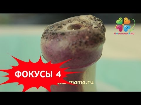 Видео: Фокусы для детей. Часть 4