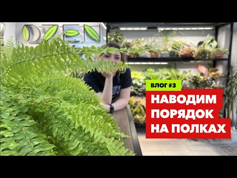 Видео: Цветочный влог » Наводим порядок в стеллажах с растениями