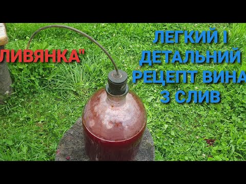 Видео: Доступний й і покроковий рецепт приготування вино з слив.
