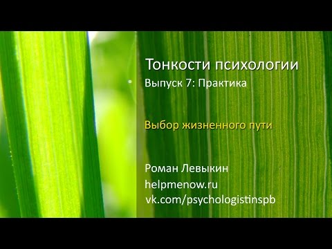 Видео: Выбор жизненного пути (Тонкости психологии 7: практика)