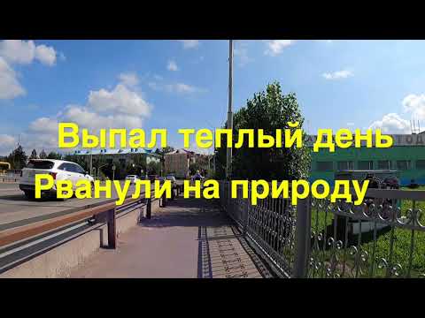 Видео: ПВД в лес в августе