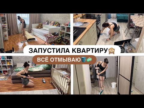 Видео: МОТИВАЦИЯ НА УБОРКУ 🧹 ЗАПУСТИЛА КВАРТИРУ🙈 ВСЁ ОТМЫВАЮ 🪣🧽