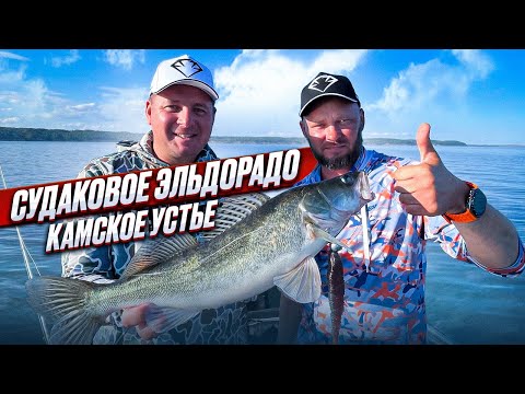Видео: ЗДЕСЬ ЖИВУТ ТОННЫ СУДАКА! ПОКЛЁВКИ ОТДАЙ СПИННИНГ! 