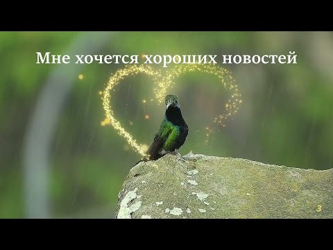 Видео: Мне хочется хороших новостей - лучшие песни / Best songs