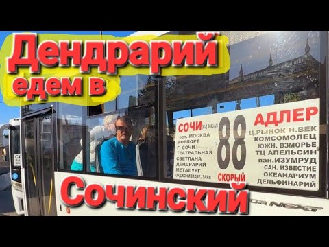 Видео: #Сочи Вокзал. Дендрарий цены. Верхняя часть парка. Канатная дорога