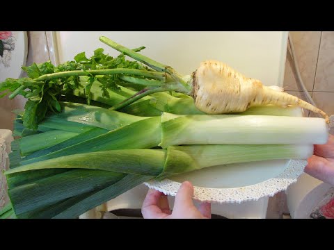 Видео: Сушим зелень  Готовимся к зиме