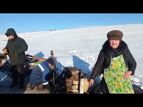Видео: Зимний обед на 3-й Новоленинской Зимниаде