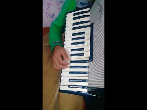 Видео: Аккордеон уйронуу суктанамын♪