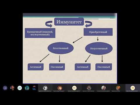 Видео: Иммунитет часть 1 | Микробиология