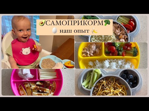 Видео: САМОПРИКОРМ наш опыт | BLW🥰🍌🥑🥦🥚🍗