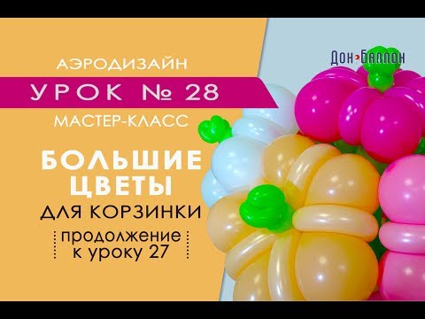 Видео: Искусство Аэродизайна. Урок №28. Большие цветы для корзинки из воздушных шаров (см. урок №27)