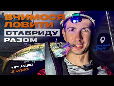 Видео: 💥 TryHard: Ловля СТАВРИДИ на нову Azura SAFINA. Як ловити чорноморський делікатес?